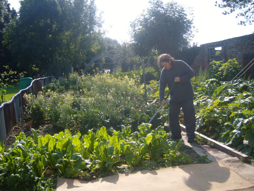 Catholic Worker Farm veg garden